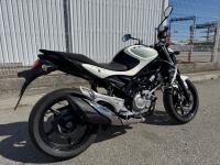 SUZUKI GLADIUS 650